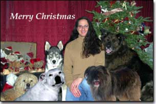 Darren, Newfie/Akita-Khan, Husky-Isis, Terrier-Jake, Staffie-Daisy, Briard-Artemis in front of Christmas tree