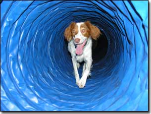 Bindy inside a tunnel