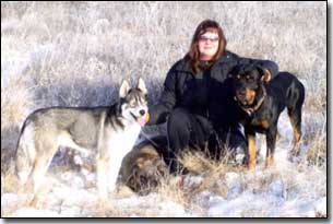 Husky-Isis, Briard-Artemis Rottweiler and Barbara in a field in winter