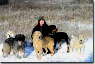 Great Pyrenees-Soloman, Briard-Artemis, Terrier-Jake, Rottweiler-Rex, Wheaton-Lucy and Barbara in a field in winter