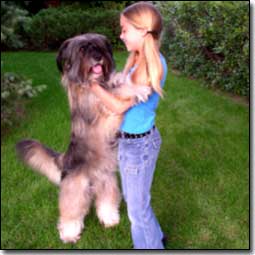 Briard-Artemis with Co-Star Emily